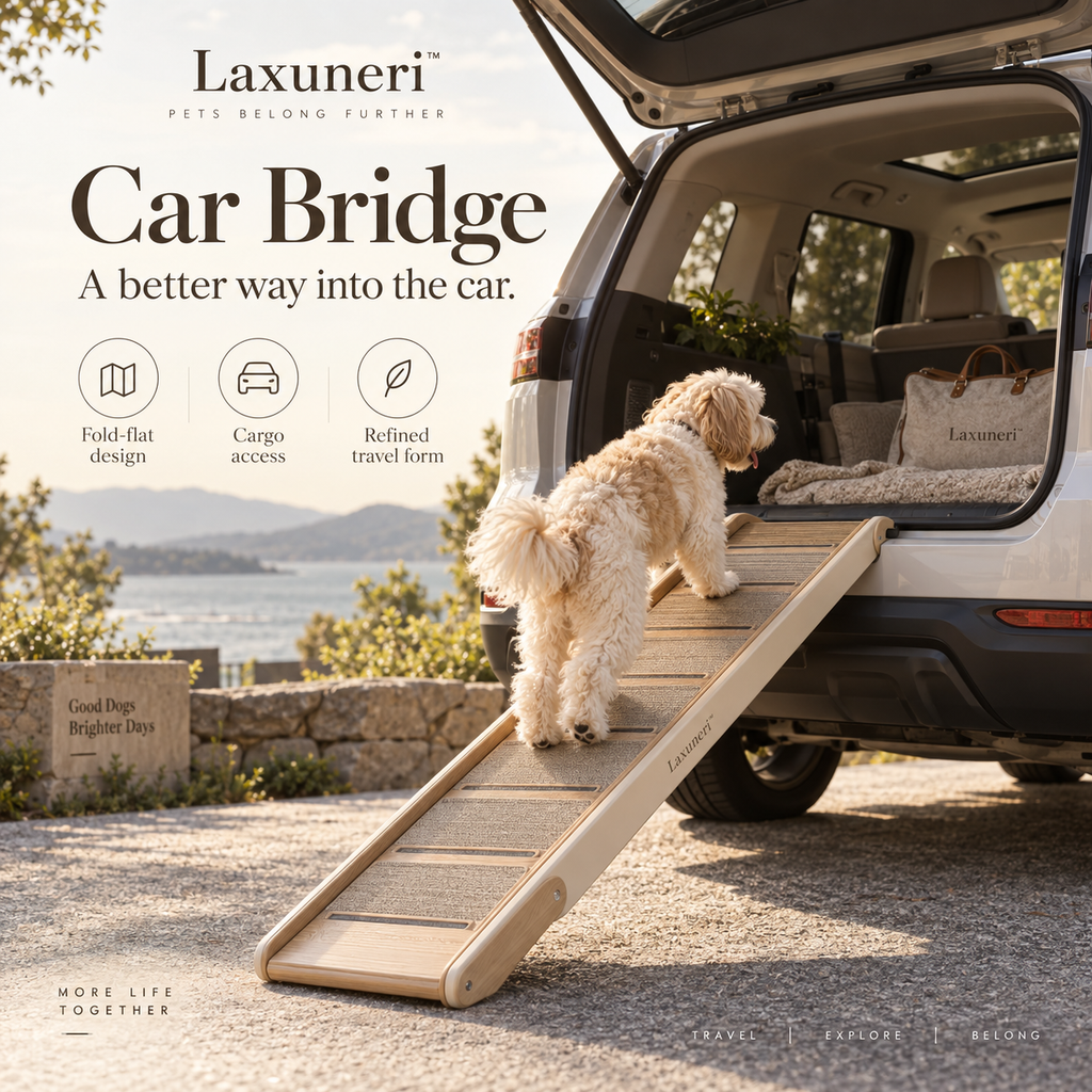 Laxuneri™ Car Bridge